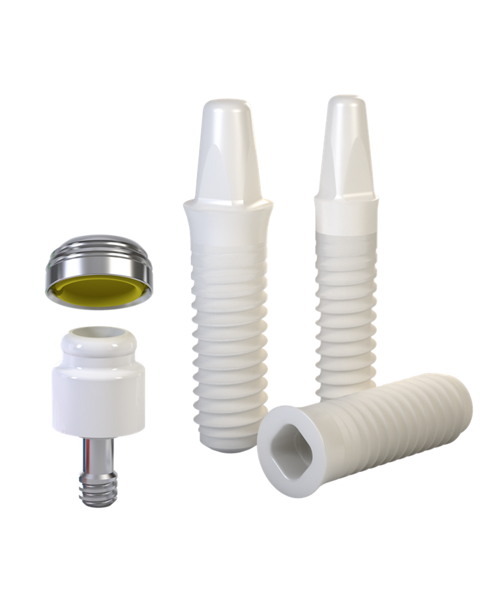 Ceramic Dental Implants Sarasota & Fruitville Zirconia Dental Implant